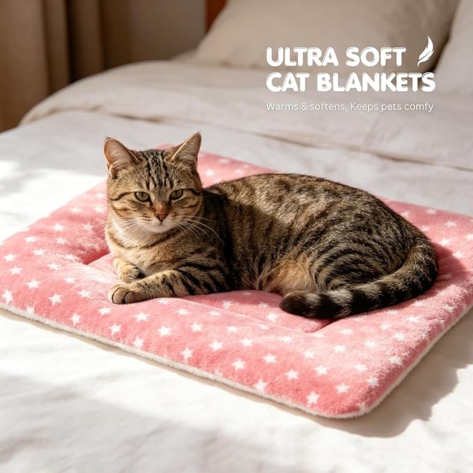 4 Pack Cat Bed Mat, 22" x 15" Soft Fluffy Flannel Small Pet Blanket, Washable Sleeping Pad for Indoor Cats, Kittens, Puppies, Star Print - Pink