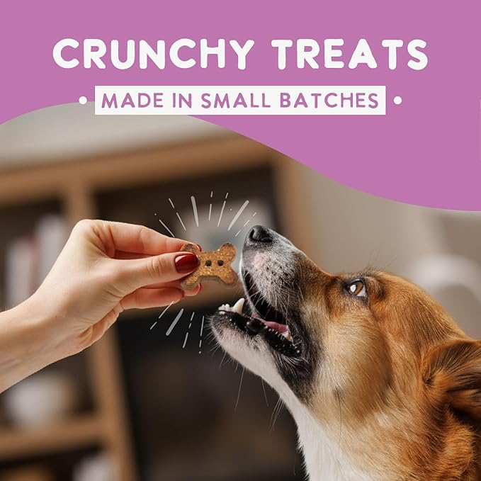 Health Extension Oven-Baked Dog Treats, Salmon Recipe – Gluten & Wheat-Free, Superfood-Infused, Crunchy Biscuits for Puppy Training (2.25 lb)