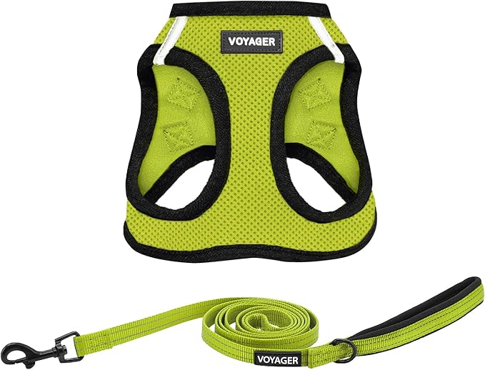 Best Pet Supplies Voyager Step-in Air All Weather Mesh Harness and Reflective Dog 5ft Leash Combo with Neoprene Handle, for Small, Medium and Large Breed Puppies - Set (Lime/Black Trim), XX-Small