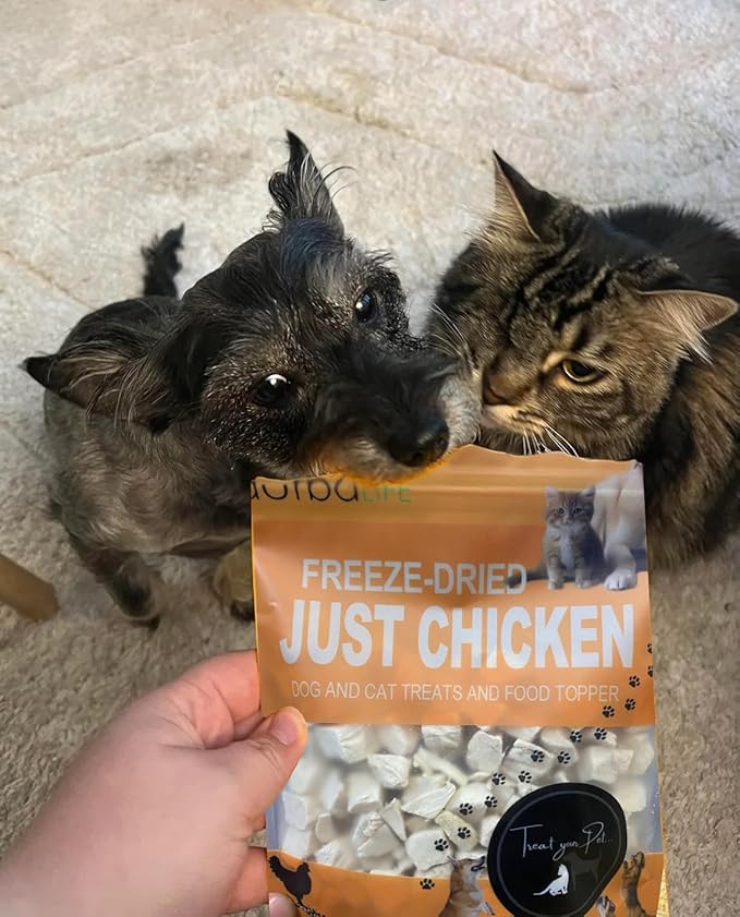 Freeze Dried Chicken Bites - Cats and Dogs Training Treat or Food Topper for Picky Eaters, Protein-Packed Pet Snack (2.0 oz, Just Chicken)