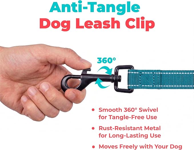 Best Pet Supplies Voyager Reflective Dog Leash or Collar with Neoprene Handle, for Small, Medium, and Large Breed Puppies, Cute and Heavy Duty for Walking, Running and Training - Turquoise (Leash), M
