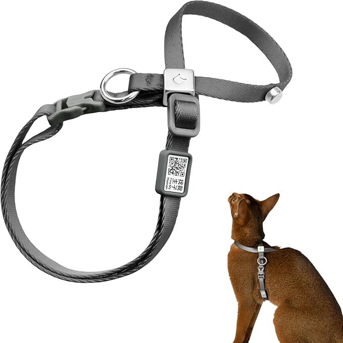 Escape Proof Cat Harness Anti-Choke Quick Release Adjustable QR Code Soft Nylon Durable Lightweight Figure 8 Cat Harness Anti Escape for Kitten Small Medium Large Cats (Space Gray, M)