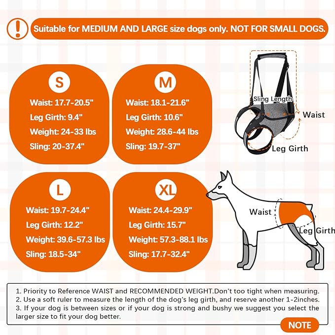 ROZKITCH Dog Lift Harness, Pet Rear Support Aid Veterinarian Approved Sling for Old K9 Help with Poor Stability, Back Leg Hip Disabled Joint Injury Elderly Arthritis ACL Rehabilitation Rehab Grey L