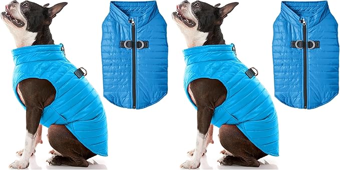 Gooby Puffer Vest Dog Jacket - Blue, Large - Ultra Thin Zip Up Wind Breaker with Dual D Ring Leash - Water Resistant Small Dog Sweater Coat - Dog Clothes for Small Dogs Boy or Medium Dogs (Pack of 2)