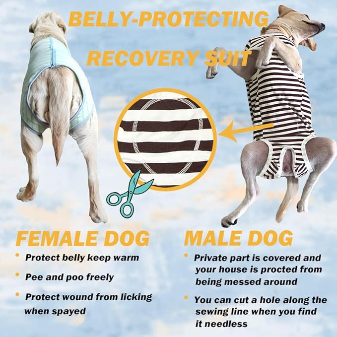 Dog’s Recovery Suit Post Surgery Shirt for Female Male Dog, E-Collar Alternative Wound Protective Clothes (Purple stripe-4xl)