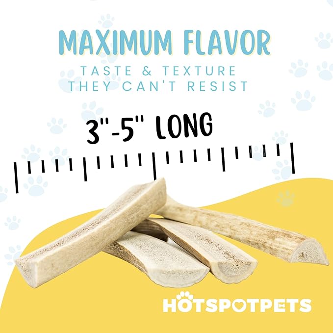 hotspot pets Small Premium Split Elk Antlers for Dogs - 3''-5'' Inch Long Dog Chews, (6 Pack) Naturally Shed Antler Bone for Small Breed Aggressive Chewers - Made in USA - Promotes Dental Hygiene