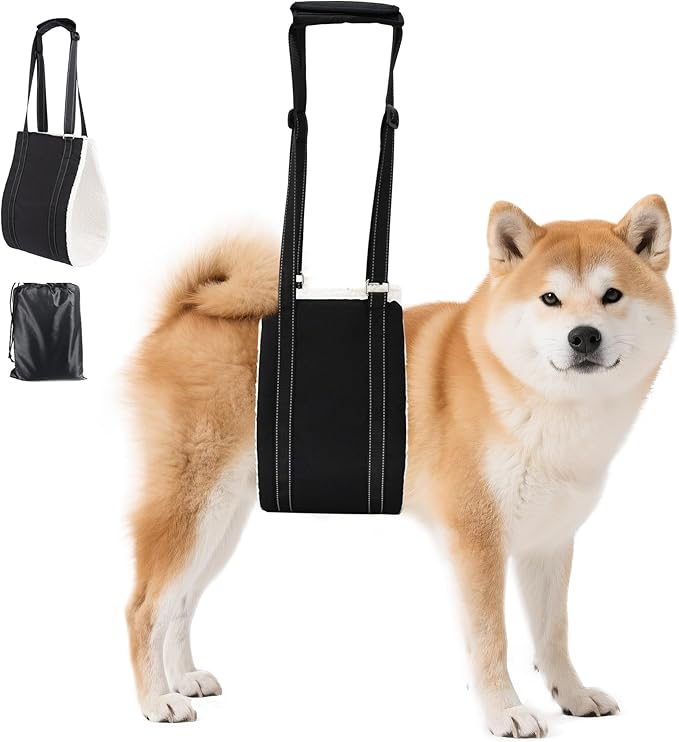 AIITLE Upgraded Dog Sling Carrier Medium - Hind Leg Support Sling with Hip Thick Padding, Rehab Mobility Aid for Senior/Disabled Dogs, Orthopedic Injury & ACL Surgery Recovery (Black, M)