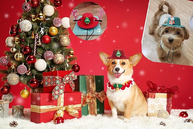 Christmas Pet Dog Hat,Cosplay Dog Hat,Cute Outdoor Hat,Dog Party Hat for Small Medium Dogs,Holiday Decoration Cap Perfect for Dog Cat （Crooked Duck）
