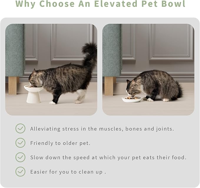 CEEFU Extra Wide Elevated Ceramic Cat Water Bowl - 6.2" Deeper Dish for Whisker Fatigue Relief, 5" Height for Easy Feeding, Lead & Cadmium Free, Durable Raised Cat Bowls, White
