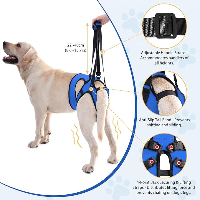 LIANZIMAU Dog Sling for Large Dogs Adjustable Hind Leg Support Lift Harness Senior Canine Mobility Aid Carrier for Back Legs Walking Rehabilitation