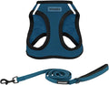 Best Pet Supplies Voyager Step-in Air All Weather Mesh Harness and Reflective Dog 5ft Leash Combo with Neoprene Handle, for Small, Medium and Large Breed Puppies - Set (Blue/Black Trim), Medium