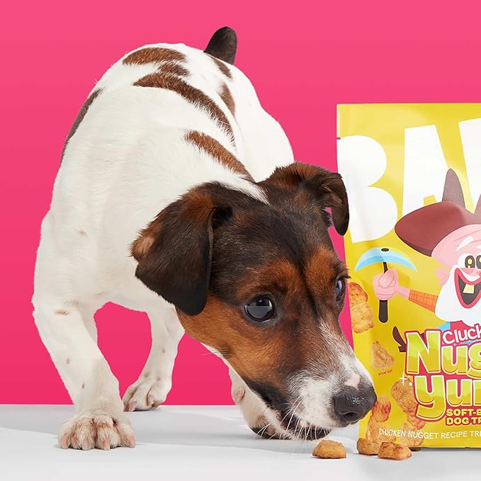 Barkbox Nuggy Yumz - Soft-Baked Chicken Nugget-Inspired Treats Packed with Protein, Nutritious Ingredients, and No Corn, or Soy - 24oz Bag