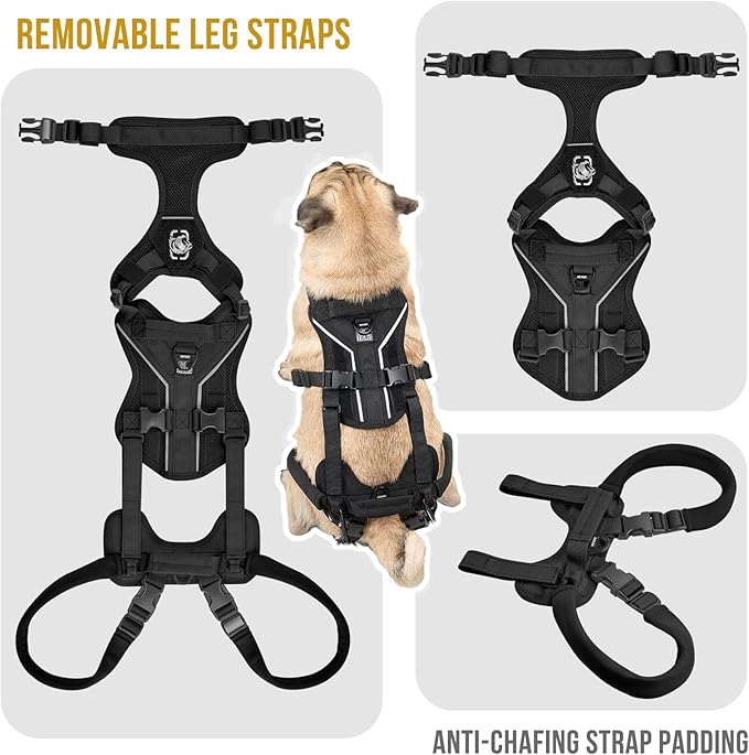 OneTigris Dog Lift Harness for Small Dogs XS, Dog Sling Carrier for Small Dogs, Full Body Lift Vest with Reflective Straps, Support Harness for Back Legs (Black, XX-Small)