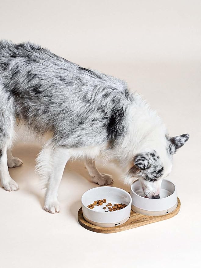 LE TAUCI PET Ceramic Dog Bowls for Medium and Small Dogs - 3.2 Cup Weighted Non-Slip Food and Water Bowls with Acacia Wood Tray, Pet Bowl Set of 2