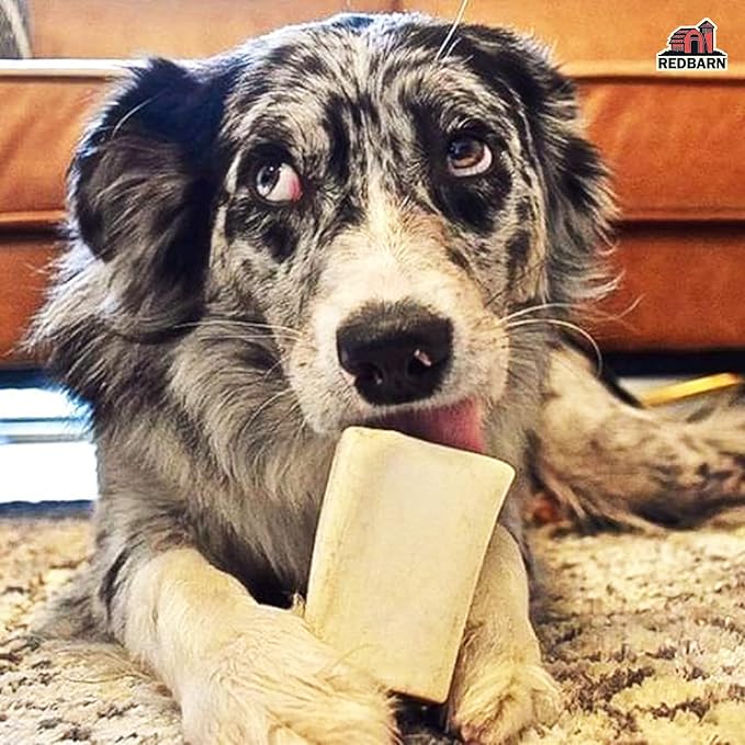 Redbarn Pet Products Small Filled Dog Bones, Peanut Butter Flavor - Long Lasting Stuffed Femur Chew Treat Made in USA for Aggressive Chewers - Case of 20 Bones