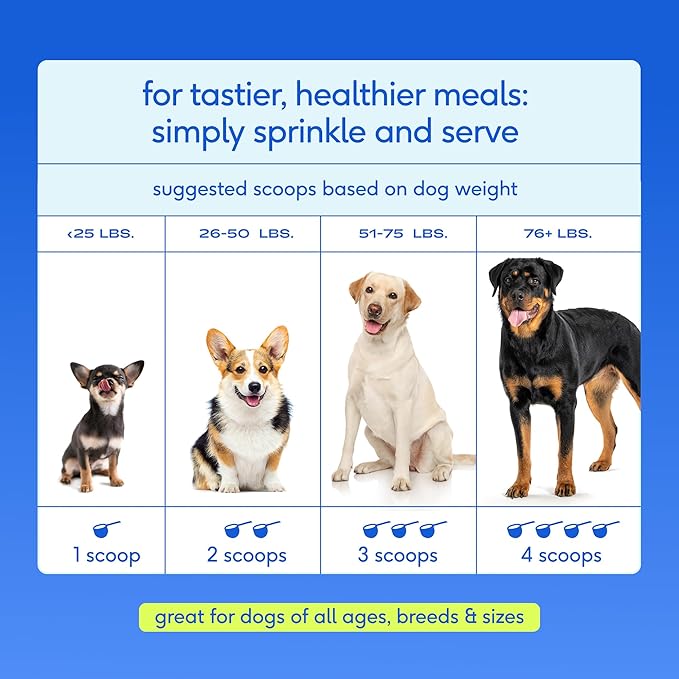 Native Pet Hip & Joint Advanced Care Dog Joint Supplement Powder for Mobility & Movement Support, Joint Supplement for Dogs with HMB, UC-II Collagen, Green Lipped Mussel & Hyaluronic Acid – 30 Scoops