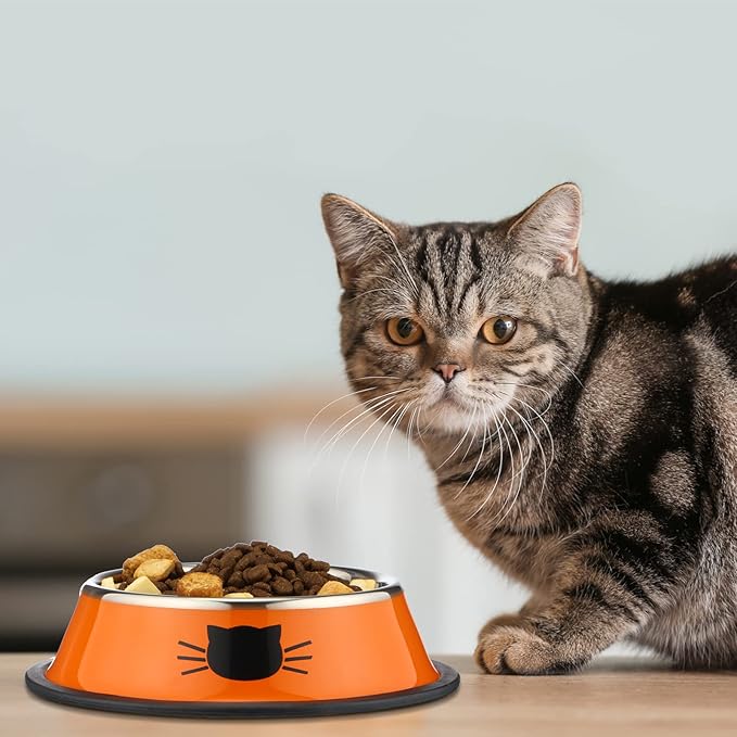 Amylove 6 Pcs Cat Bowls for Food and Water Cat Dishes Stainless Steel Pet Food Bowls 7 oz Anti Slip Metal Pet Dish with Removable Rubber Base Thick for Feeding Indoor Kitten Small Dog(Classic Color)