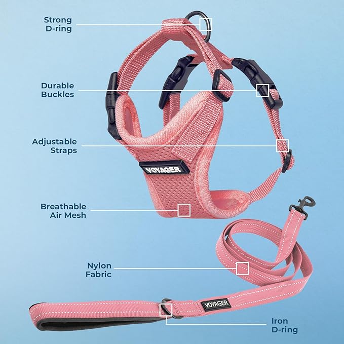 Best Pet Supplies Voyager Step-in Lock Pet Harness w Reflective Pet Leash Combo Set with Neoprene Handle 5ft - Supports Small, Medium and Large Breed Puppies/Cats - Pink, XL