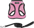 Best Pet Supplies Voyager Step-in Air All Weather Mesh Harness and Reflective Dog 5ft Leash Combo with Neoprene Handle, for Small, Medium and Large Breed Puppies - Set (Pink Base), X-Large