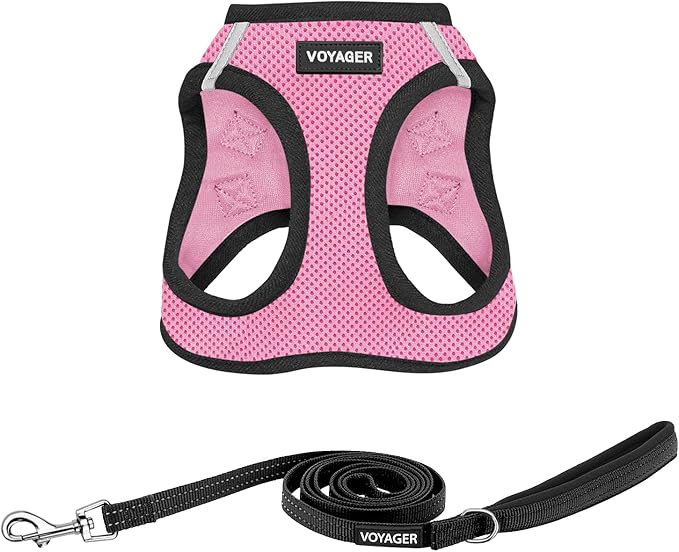 Best Pet Supplies Voyager Step-in Air All Weather Mesh Harness and Reflective Dog 5ft Leash Combo with Neoprene Handle, for Small, Medium and Large Breed Puppies - Set (Pink Base), Large
