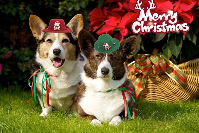 Christmas Pet Dog Hat,Cosplay Dog Hat,Cute Outdoor Hat,Dog Party Hat for Small Medium Dogs,Holiday Decoration Cap Perfect for Dog Cat （Crooked Duck）