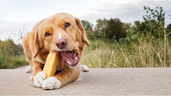 peaksNpaws Yak Cheese Himalayan Dog Chews, High Protein, Natural Dog Treats for Medium Dogs, Lactose Free Sticks for Aggressive Chewers, Long Lasting Pet Treat for Dogs Under 35 lbs, 3 Medium Chews