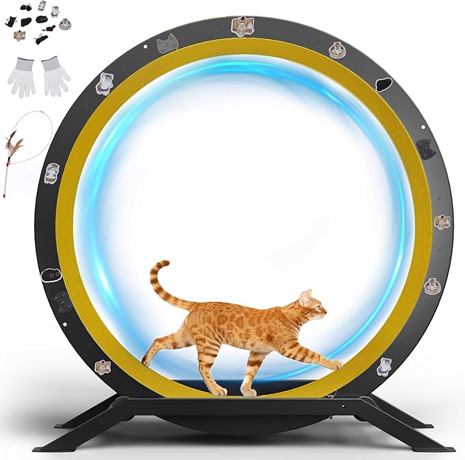 GTRACING Cat Wheels, 40" Diameter, Large Cat Exercise Wheel for Indoor Cats cat Treadmill Metal with Detachable Carpet & Teaser/Stickers, Ultra-Quiet Scroll Wheel with Latch, Safe and Stable, Yellow