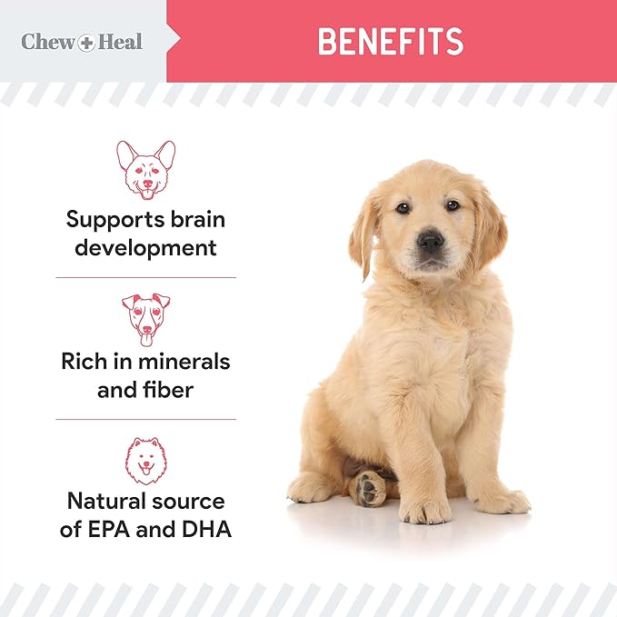 Chew + Heal Labs Dog Salmon Jerky for Puppies - 12 oz of Wild Caught Alaskan Salmon Jerky for Puppy Development with Chickpeas, Carrots, Sweet Potato, and Fruit - Made in The USA