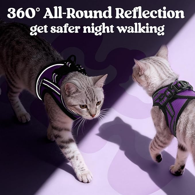 rabbitgoo Cat Harness and Leash Set for Walking Escape Proof, Adjustable Soft Kittens Vest with Reflective Strip for Cats, Comfortable Outdoor Vest, Purple, M
