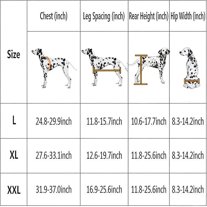 Adjustable Large Dog Wheelchair for Hind Legs | Rehabilitation Walking Aid with Harness & Large Wheels for Disabled & Senior Dogs, Up to 65kg/143lbs