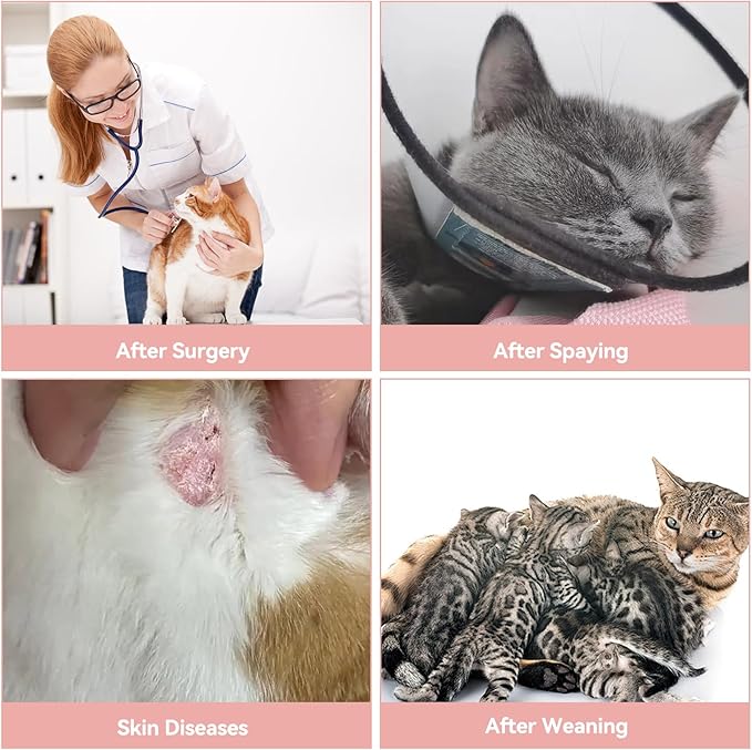 3 PCS Cat Recovery Suit for Spay Abdominal Wounds Female, Cat Onesie for Cats After Surgery, Pet Surgery Recovery Suit Kitten Onesie for Cats Anti Licking