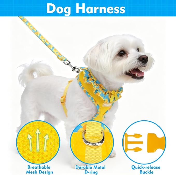 EXPAWLORER Cute Dog Harness Collar Leash Set - Blue Girl Dog Harness Checkered Step-in Design, Adjustable No-Choke Lightweight Mesh Vest for Cats Puppy Small Dogs, Daffodil M