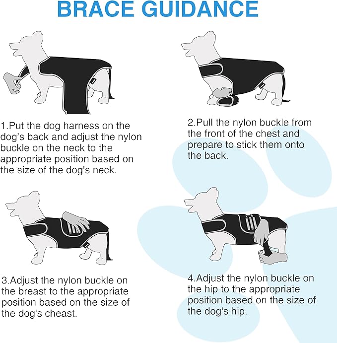 Back Bracer for IVDD Arthritis, Lab Spinal Surgical Recovery, Soft Rehab Frame Support Harness for Back, Adjustable Dachshund Pet Hip Brace Support Helps Pain Relief and Disease Rrevention (XL)