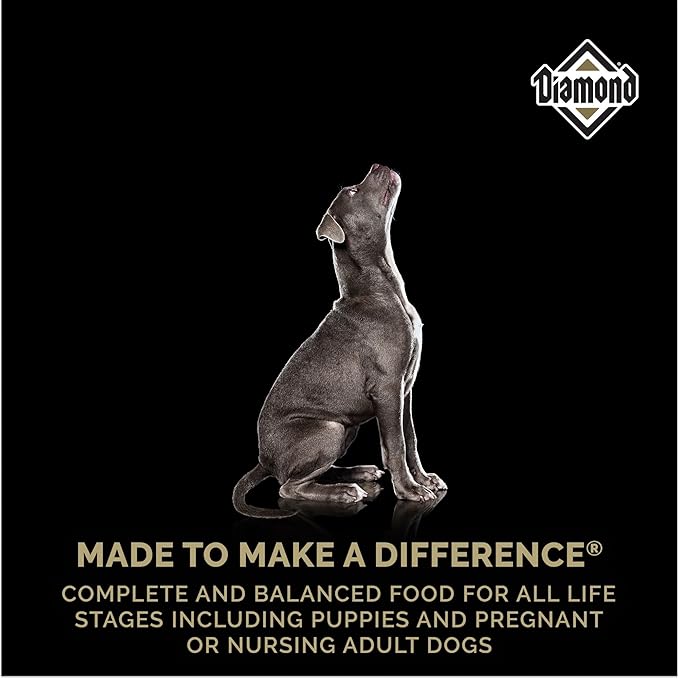 Diamond Puppy Dry Dog Food 31/20 for All Life Stages Including Puppies and Pregnant and Nursing Adult Dogs 20lb Bag