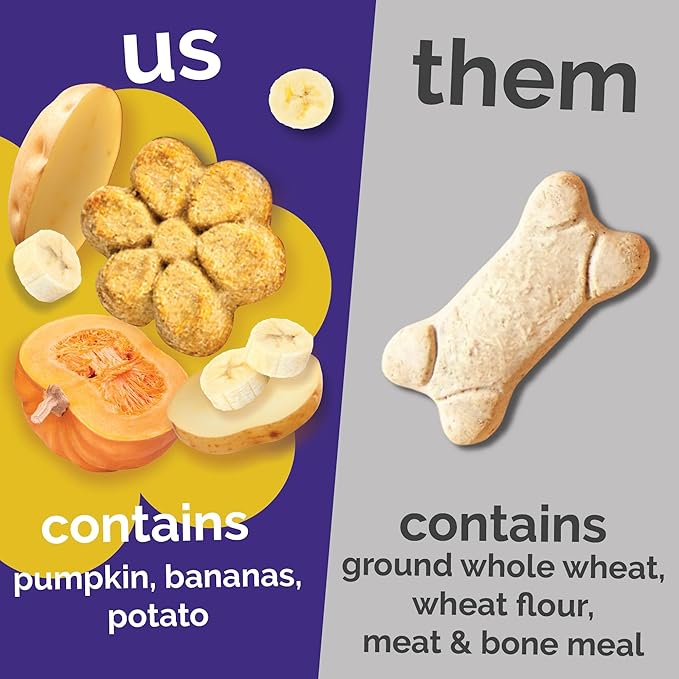 Fruitables Pumpkin & Banana Dog Treats - Healthy Baked Low-Calorie Snacks for Dogs - Crunchy, Wheat-Free - 7 oz (6 Pack)