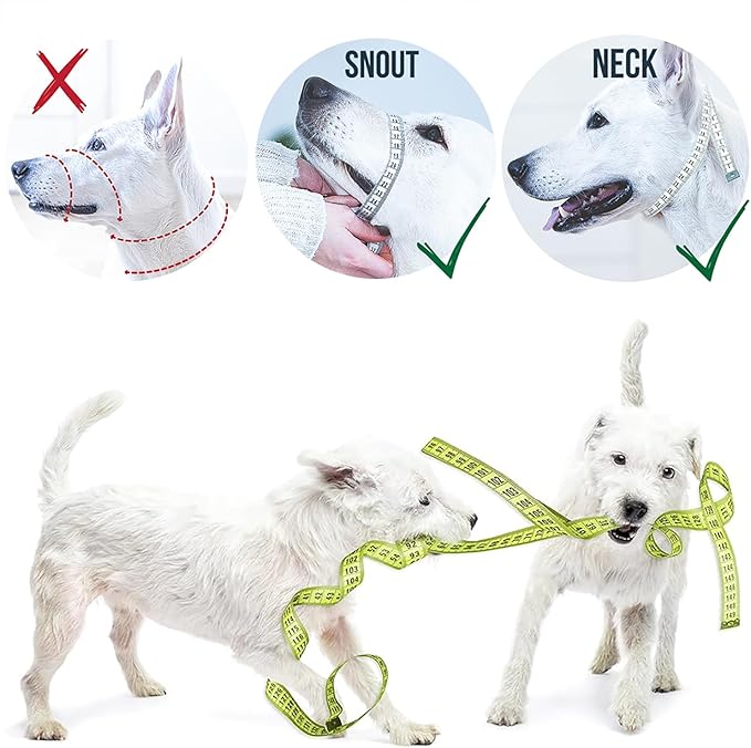 GoodBoy Dog Head Halter with Safety Strap - Stops Heavy Pulling On The Leash - Padded Headcollar for Small Medium and Large Dog Sizes - Head Collar Training Guide Included (Size 4, Blue)