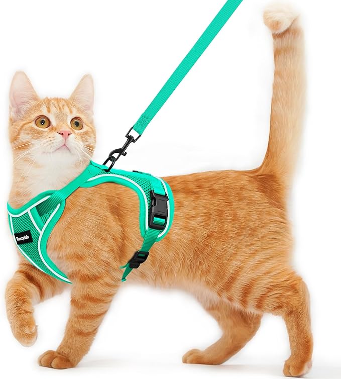 Cat Harness and Leash for Walking Escape Proof Soft Adjustable Cat Leash Breathable Comfortable Vest Easy to Wear Kitten Harness for Outdoor Travel (Emerald, XS (4-6lb))