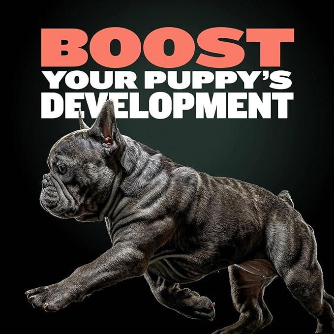 Bully Max Puppy Training Treats - Soft Chews Dog Food Supplements & Vitamins for Brain, Skin & Coat Health - Glucosamine & Chondroitin for Joint Support – Multivitamin Food Topper for Puppies - 1 Bag