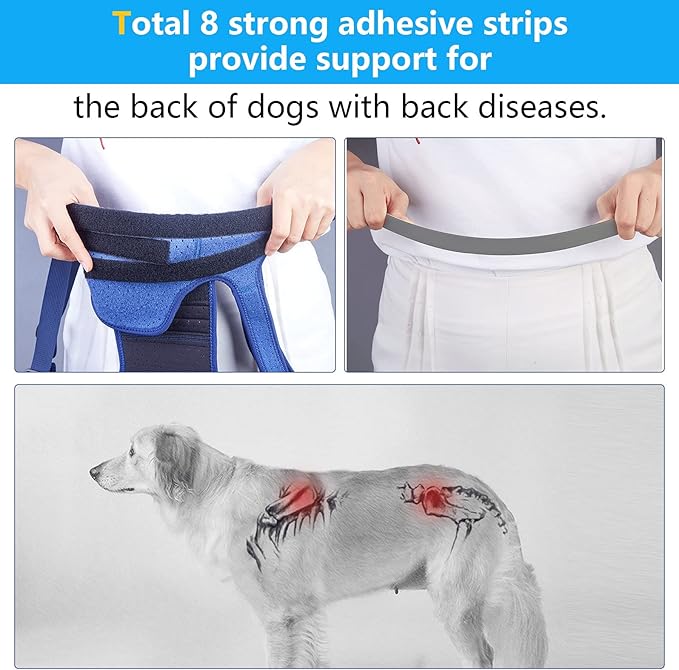 Coodeo Dog Back Brace for Dogs Arthritis, Pet Back Bracer for IVDD, Back Protector Helps Pain Relief, Surgical Recovery and Rehabilitation, Dogs Back Disease Prevention. (Pink,Medium)