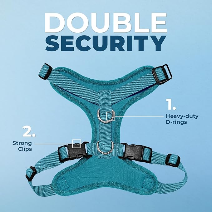 Best Pet Supplies Voyager Step-in Lock Pet Harness w Reflective Pet Leash Combo Set with Neoprene Handle 5ft - Supports Small, Medium and Large Breed Puppies/Cats - Turquoise Set, M
