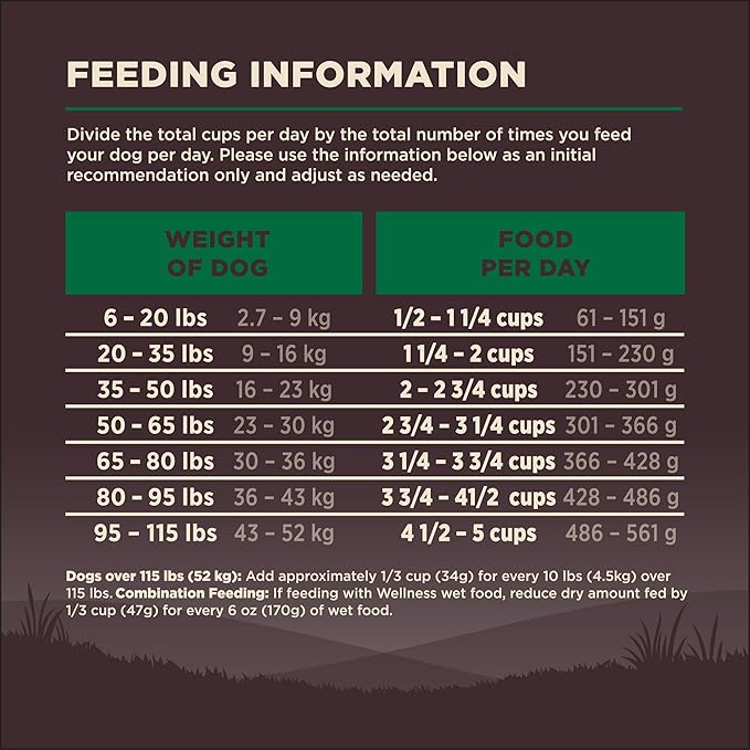 Wellness CORE Dry Dog Food, Grain Free, High Protein, Natural, Lamb Recipe, (22-Pound Bag)