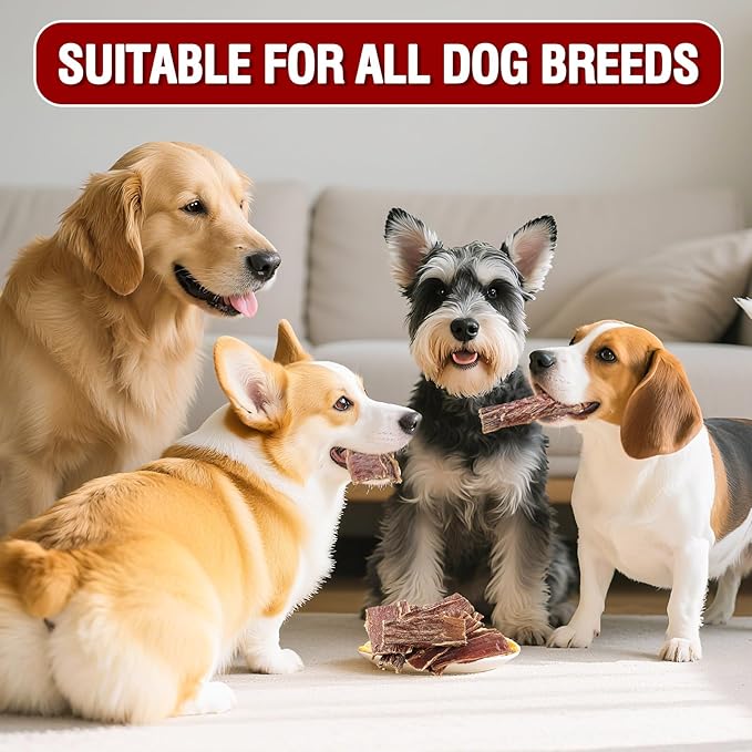 2.83 OZ Beef Esophagus Dog Treats,Single Ingredient All Natural Healthy Chews for Dogs,High Protein Long Lasting Chews for Small & Large Dogs (2.83 OZ)