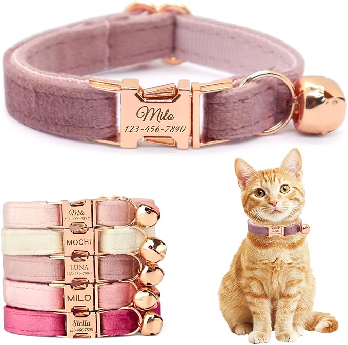 Personalized Non-Breakaway Cat Collar with Name, Luxury Soft Velvet Custom Engraved Name Collar with Bell for Kittens & Cats (Soft Pink, L (7.5-12.5 inches))