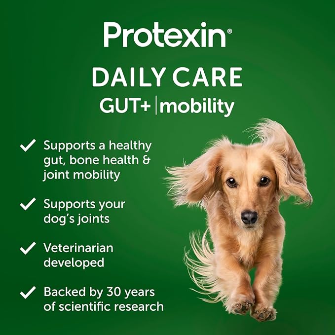 Protexin Daily Care Gut+ Mobility | 60 Dog Chews, Chicken and Bacon Flavor Dog Supplement | Probiotics for Dogs, Dog Postbiotics