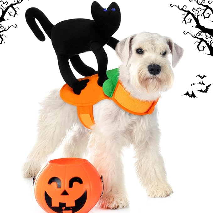 Huhumy Dog Halloween Costume Black Cat Halloween Costume for Dog Funny Riding Horse Pet Clothes for Cat Puppy Cosplay Holiday Party Dress up Accessories(Large)