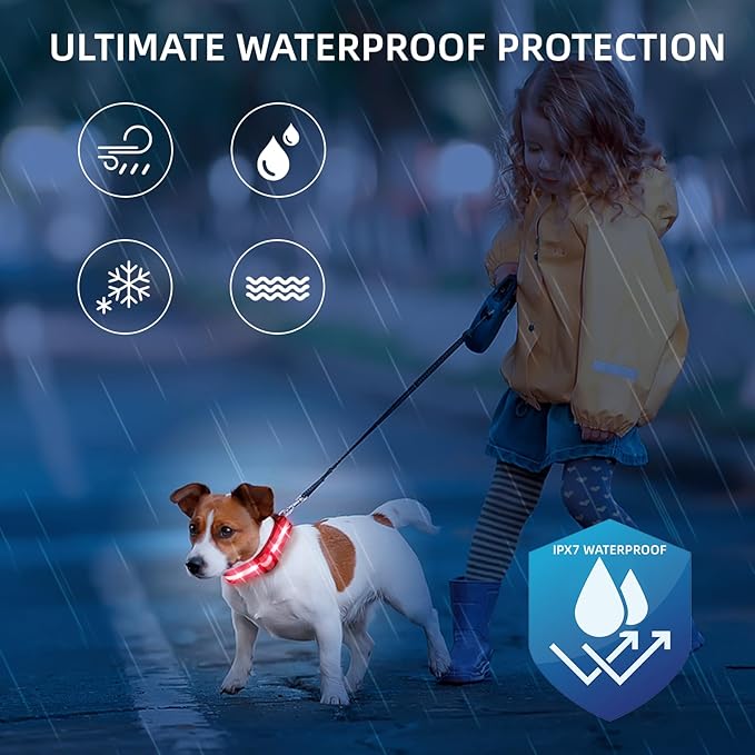 LED Dog Collar for Small Dogs & Toy Breeds – USB-C Rechargeable Light Up Dog Collar, Fully Waterproof Adjustable Glow Collar for Night Walking & Safety(Red,S)