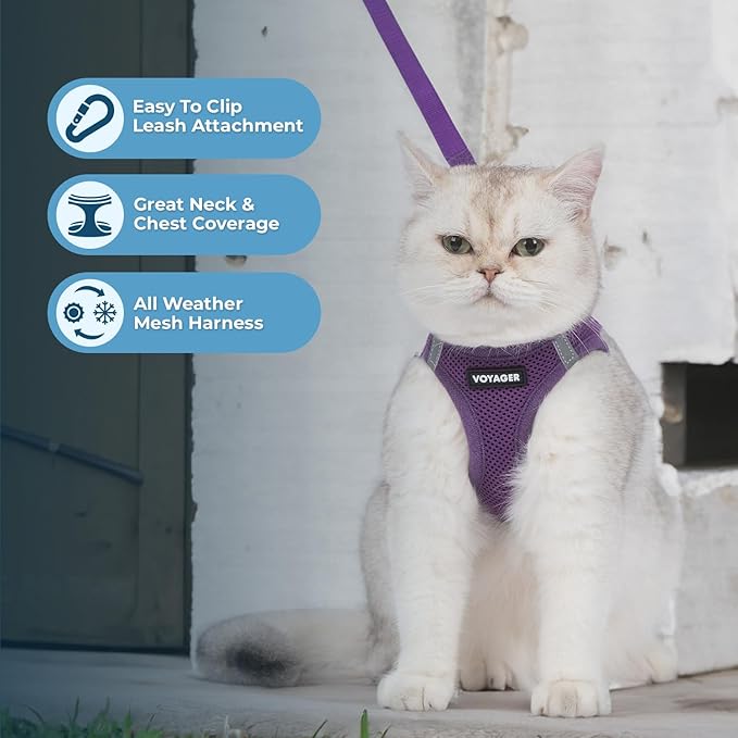Voyager Step-in Pet Harness - All Weather Mesh, Adjustable Step in Harness for Cats and Dogs by Best Pet Supplies - 307S Purple, S