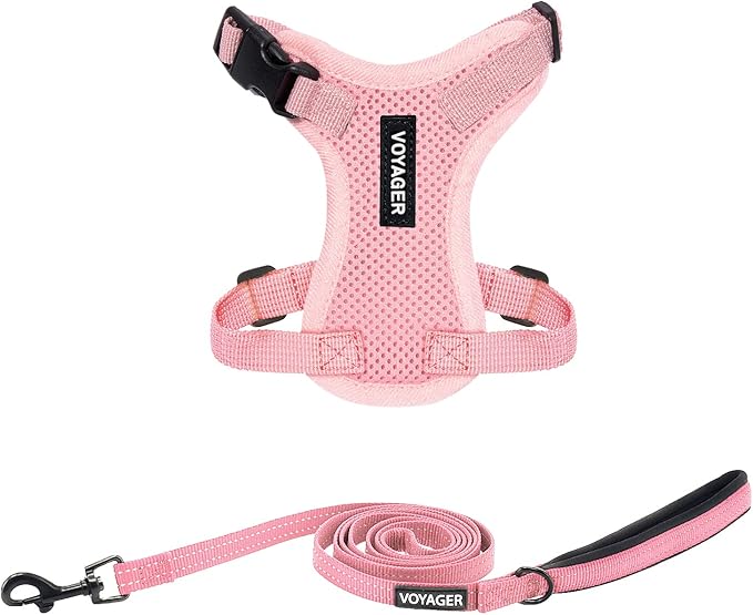 Best Pet Supplies Voyager Step-in Lock Pet Harness w Reflective Pet Leash Combo Set with Neoprene Handle 5ft - Supports Small, Medium and Large Breed Puppies/Cats - Pink, XXS