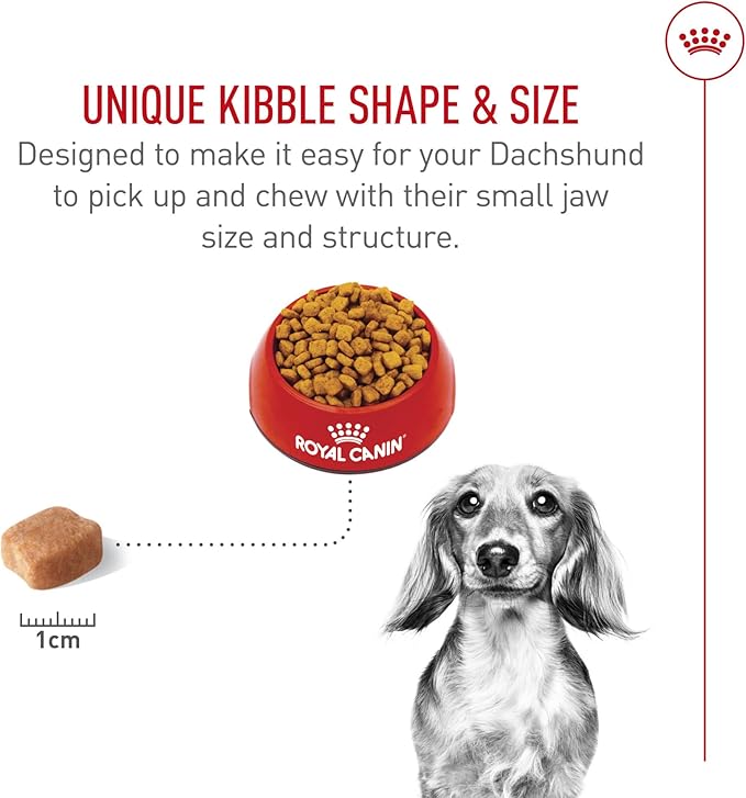 Royal Canin Breed Health Nutrition Dachshund Adult Dry Dog Food, 2.5 lb Bag