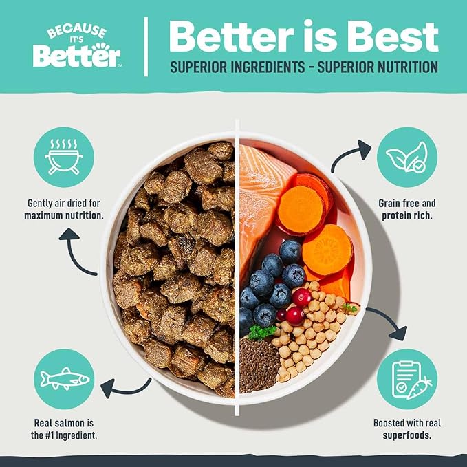 Because It’s Better Slow Baked & Air Dried Dog Food - Real Salmon & Veggies - Complete & Balanced Dry Dog Food - Grain Free, High Protein, Natural Nutrition for All Life Stages, 1 lb Bag